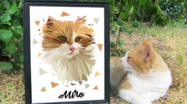 Custom Cat Portrait Digital Illustration