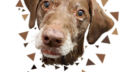 Custom Pet Portrait Illustration