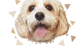 Custom Dog Portrait Art