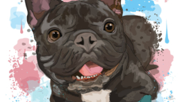 Custom French Bulldog Portrait