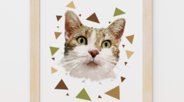 Custom Geometric Cat Portrait From Photo,